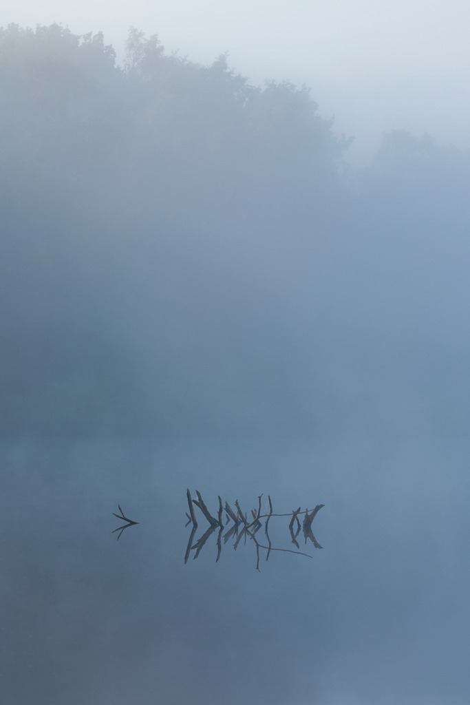 2024_10_04_HIMMELMOOR-NEBEL_MCP7327 | Hochwertig gedruckte Fotografien für die Wand, als Kalender und zum Verschenken. Hamburg & Norddeutschland und überall wo ich mit der Kamera unterwegs war.