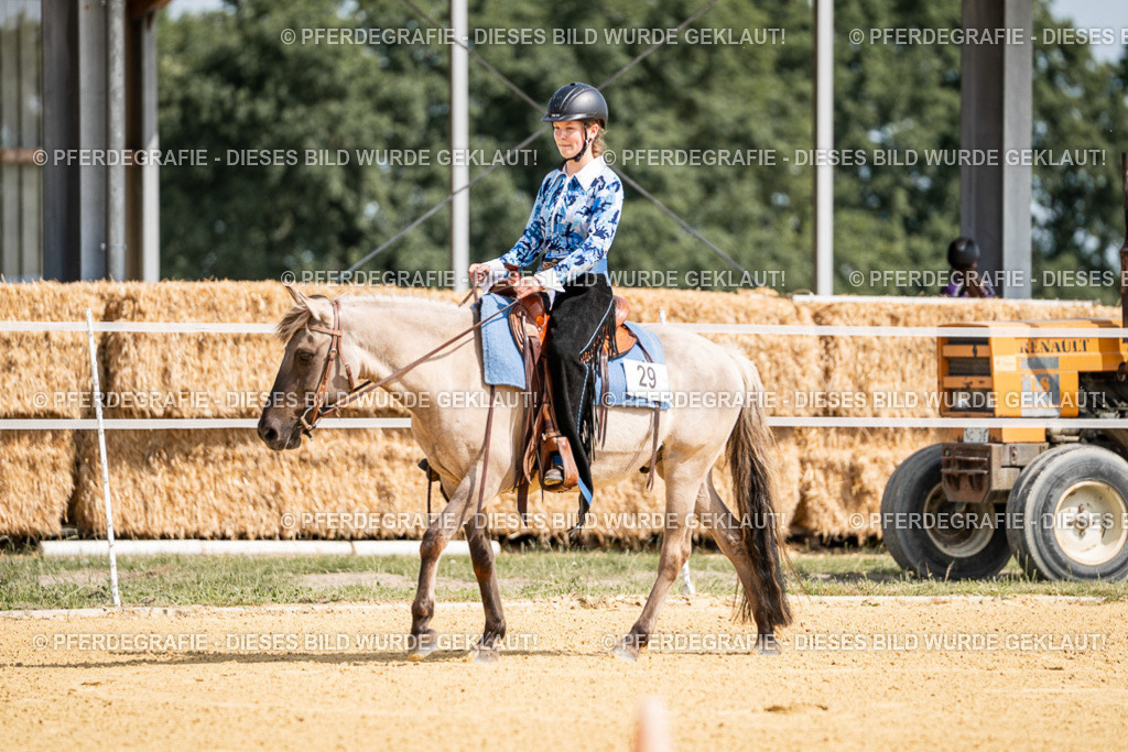 DSC09722 | Pferdegrafie