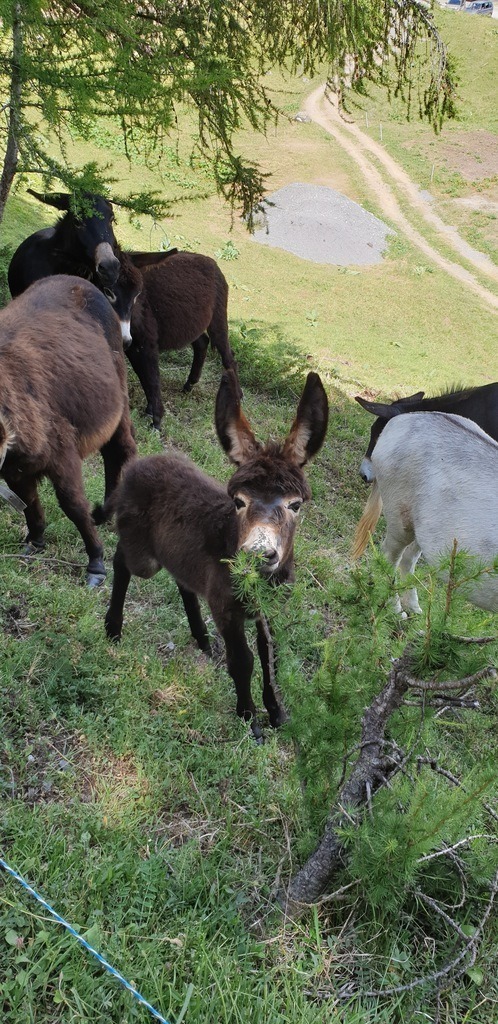 20190726_151029 | Heilkarten - Realisiert mit Pictrs.com