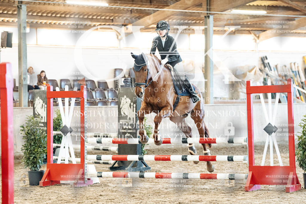 CK904088 | Turnierfotografie Pferdefotografie Trier Rheinland-Pfalz Pferdesport Reitsport Tierfotografie Sportfotografie Pferdevideo Pferdevideografie Equestrianvideography equestrianphotography  - Realisiert mit Pictrs.com