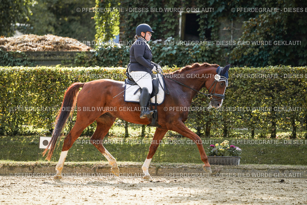 DSC08037 | Pferdegrafie