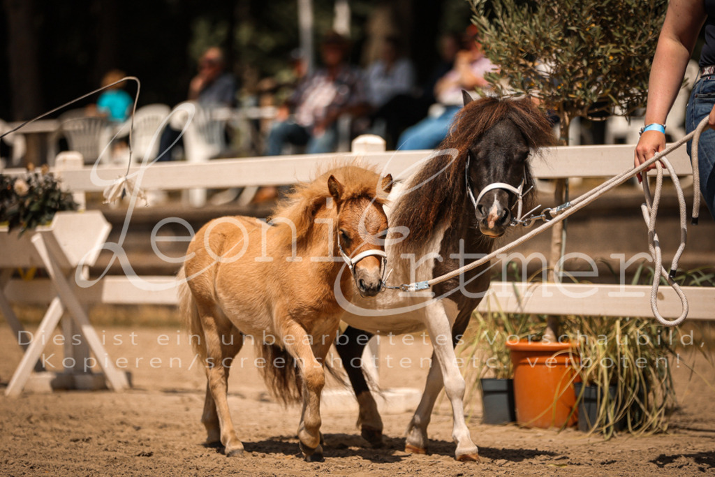 01.DoKR00140 | Leoni Ertmer Photography - Realisiert mit Pictrs.com
