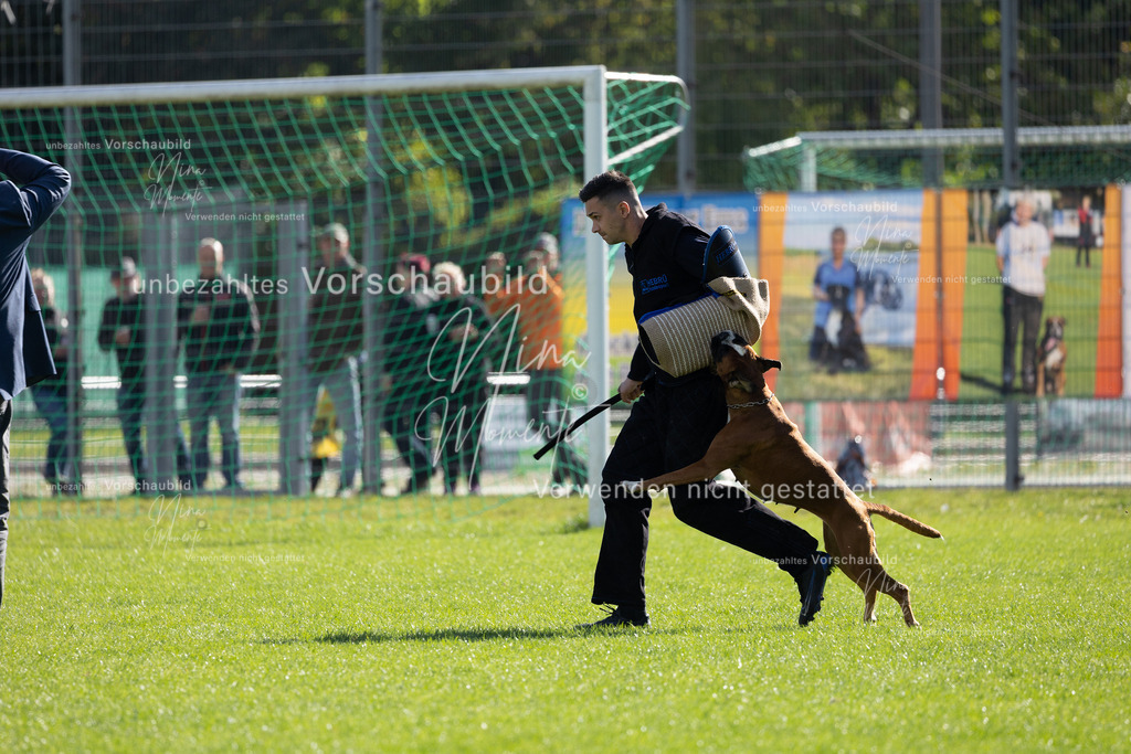 _16A5352 | Einzigartige Fotos von Hunden & Menschen –Actionfotos, Portraits, Vereinsaufnahmen & Paarshootings – authentisch, lebendig & mit Herz.