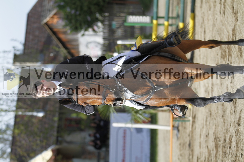 _MG_3517 | equestrian-live-com