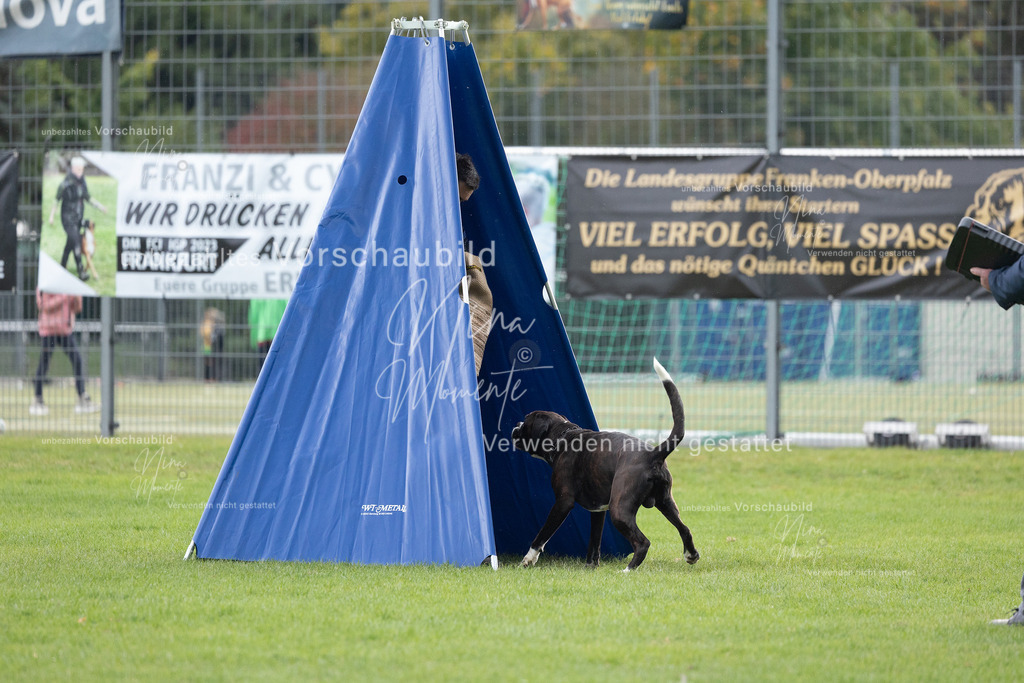 _16A7103 | Einzigartige Fotos von Hunden & Menschen –Actionfotos, Portraits, Vereinsaufnahmen & Paarshootings – authentisch, lebendig & mit Herz.