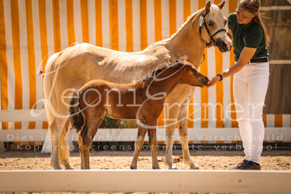 04.DoWP00055 | Leoni Ertmer Photography - Realisiert mit Pictrs.com