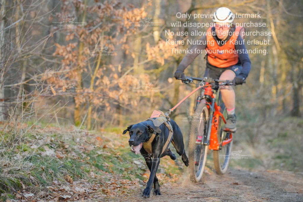 Sa_Bike-71 | stephaniefillaphotographie - Realisiert mit Pictrs.com