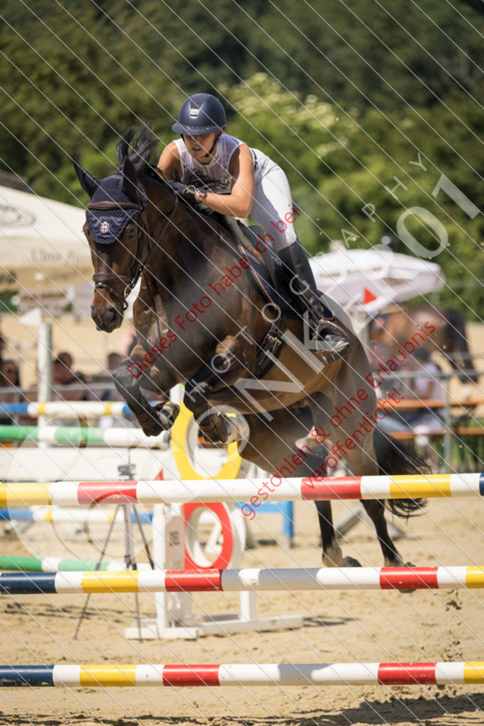 IMG_9421 | Sport-, Event- und Tierfotos in Profiqualität. Einfach auswählen, bestellen und herunterladen. Dein Moment – perfekt festgehalten.