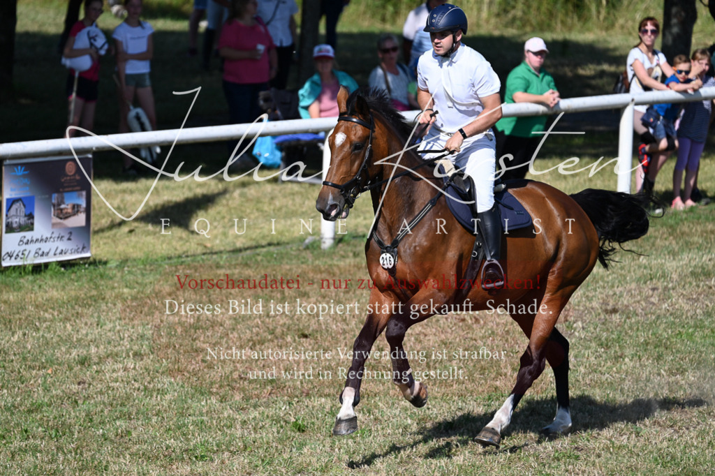 DSC_2184 | Pferde- und Turnierfotografie in Westsachsen. Pferdeportraits, Auftragszeichnungen und intuitive Kunst.