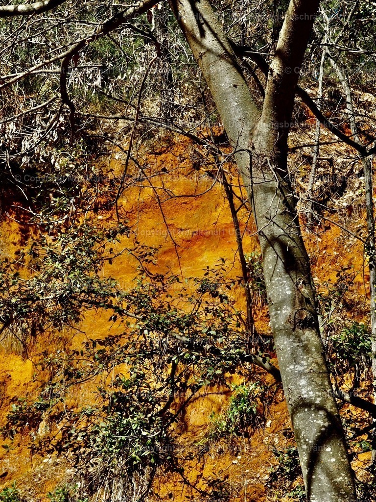 IMG_2910 | OLYMPUS DIGITAL CAMERA          - Realisiert mit Pictrs.com