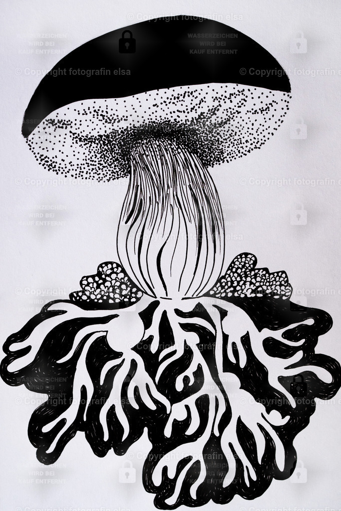 Inktober24-14 | fotografinelsa