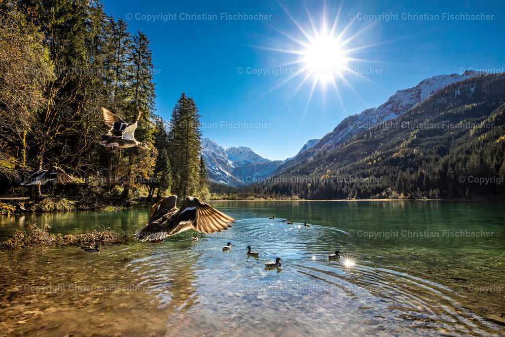 Fotos_Copyright_Chri_Fischbacher_Druck-423 | Bildershop Chri Fischbacher - Realisiert mit Pictrs.com