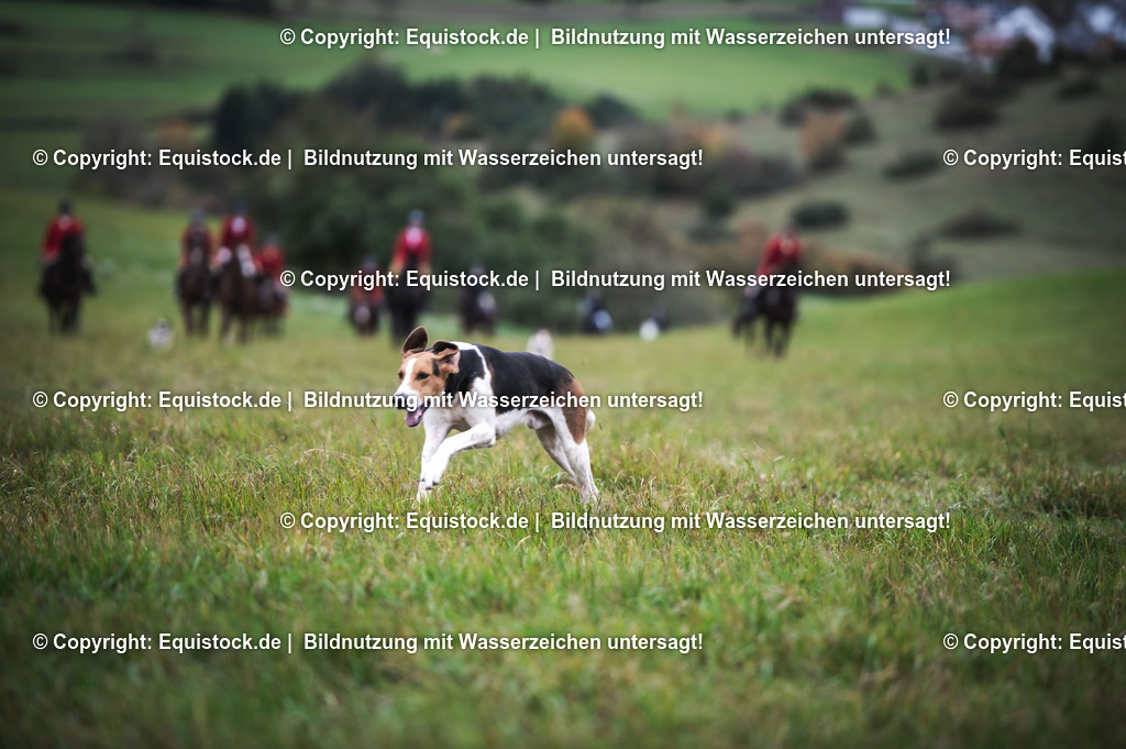 20241013_Jagd-Marbach_0213 | Foto: Thomas Hartig