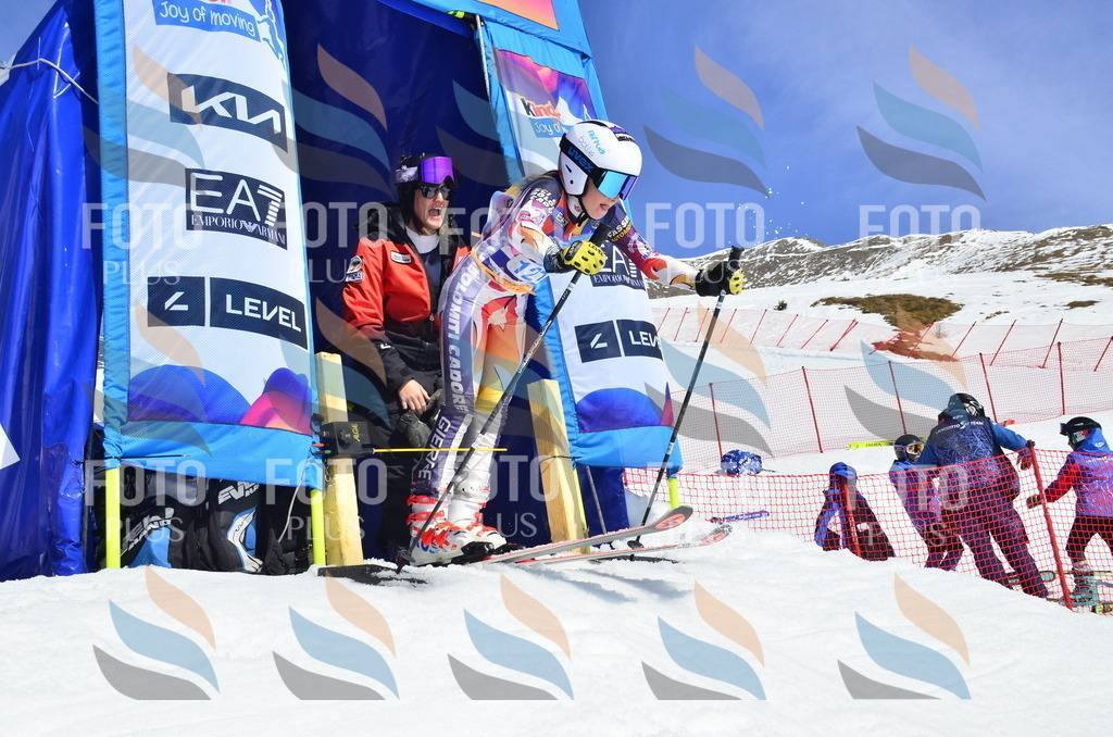 _ELE0739 | holidayphoto