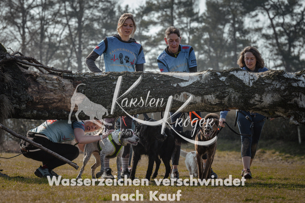 1109_ZZ94701 | kk-dogfotos