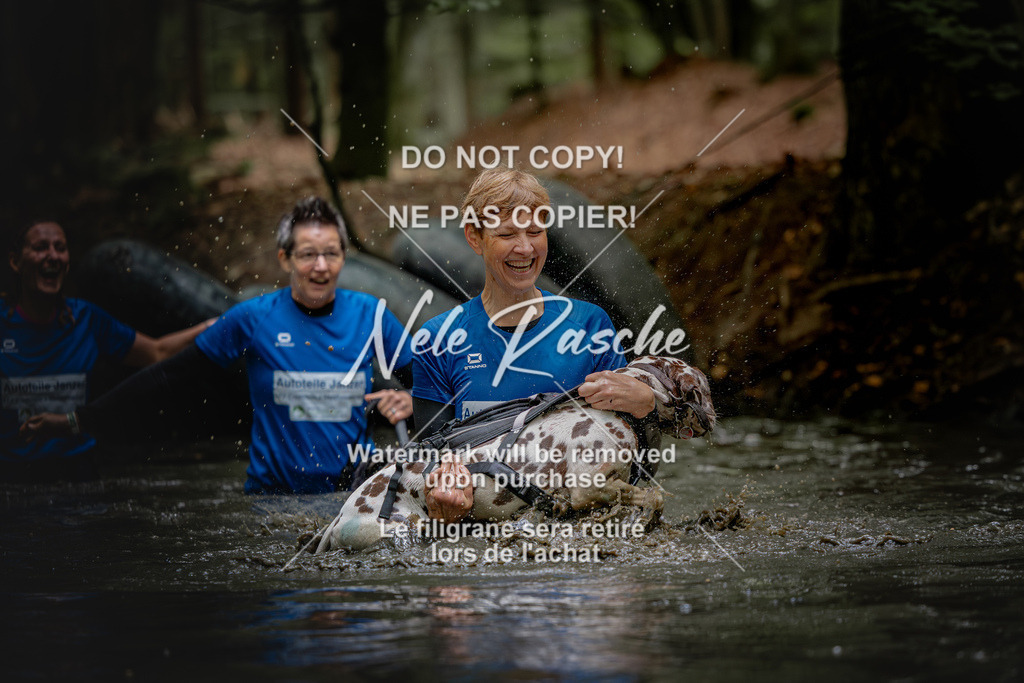 nelerasche_SaWingst1200-1230_284 | nelerasche