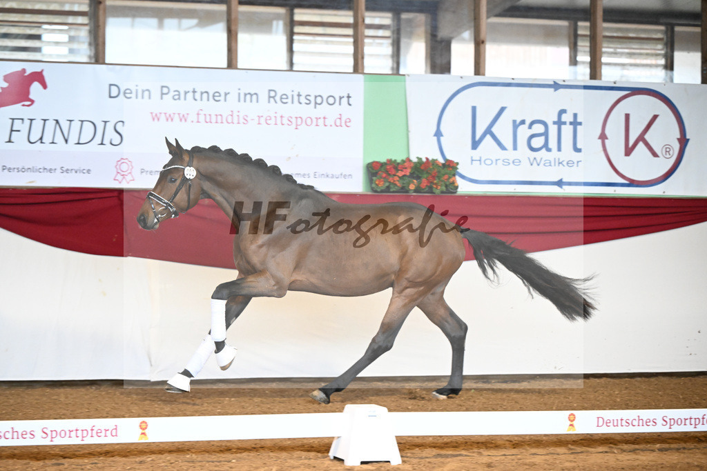 Kat-Nr. 2 ReBos Barnaby HJ v. Bonderas_Rettenmeier_16250006 | hf-fotografie - Realizzato con Pictrs.com