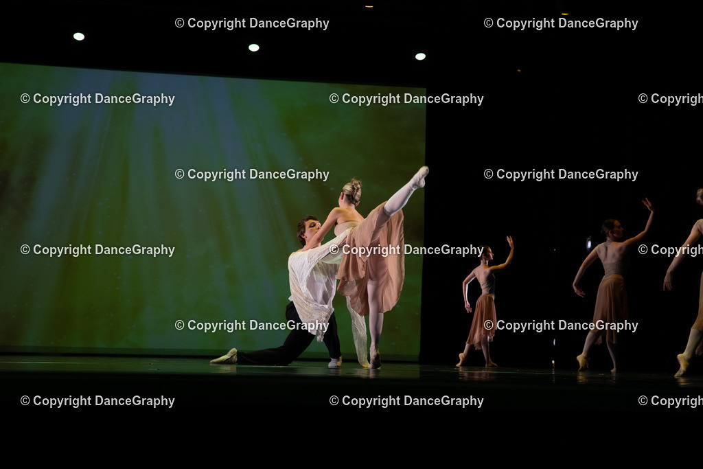 GPHY6295 | DanceGraphy - Realisiert mit Pictrs.com