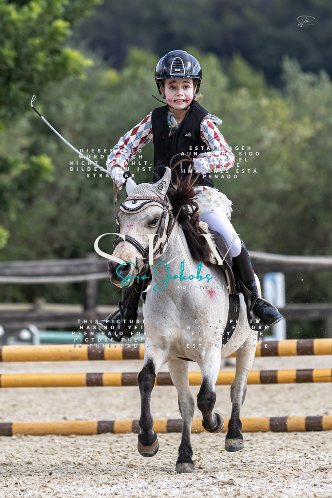 IMG_2321 | s-jay-photography - Realisiert mit Pictrs.com