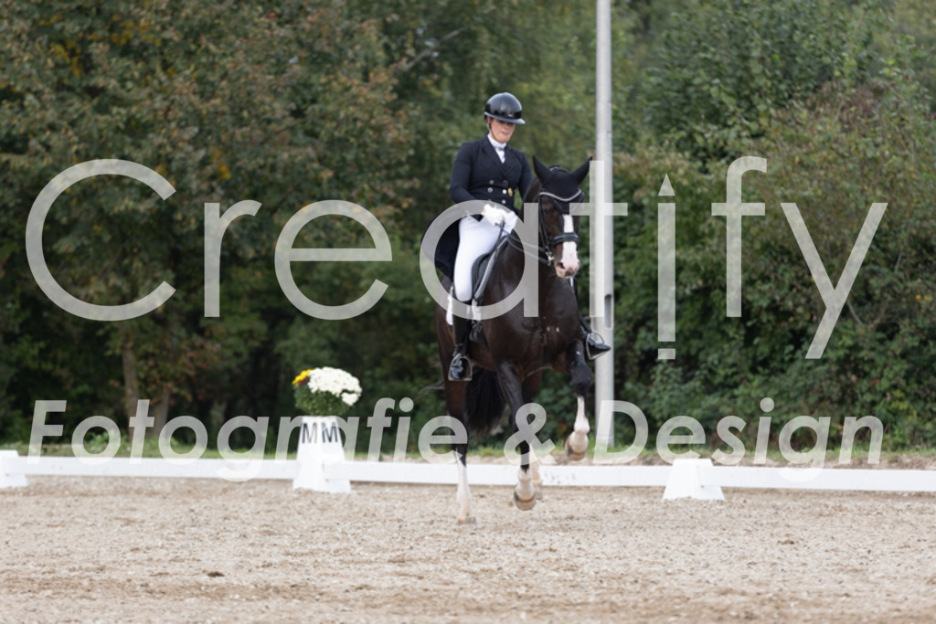 IMG_5242 | Creatify Fotografie