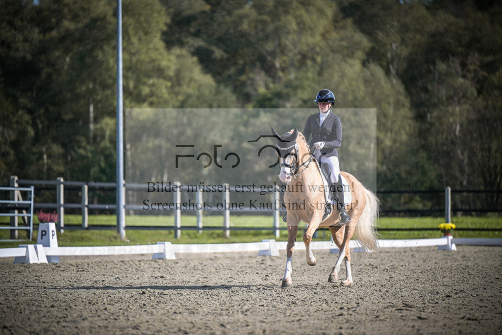 DOS_2249 | Entdecke hochwertige Reitturnierfotos von Foto Oger. Professionell, emotional und authentisch – jetzt Lieblingsmomente im Shop bestellen.Deutschlandweite Turnierfotografie. - Realisiert mit Pictrs.com