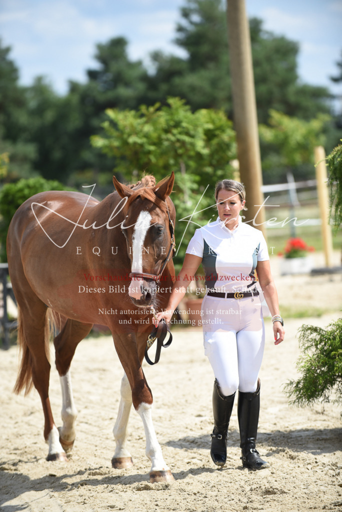 DSC_8989 | Pferde- und Turnierfotografie in Westsachsen. Pferdeportraits, Auftragszeichnungen und intuitive Kunst.