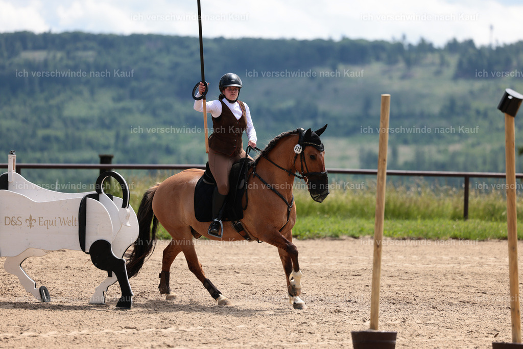 KlasseA_Stoibphotography_C2_L5752.JPG | working equitationturnier fotograf videograf stoibphotography marixx film working equitation deutschland reitsport turnierfotografie eventfotografie equestrian events