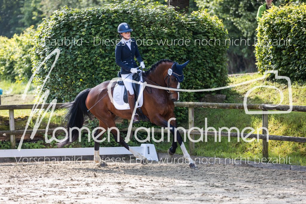 Donop24-A2-Dre-022 | MomenTaufnahmen Pferdesportfotos