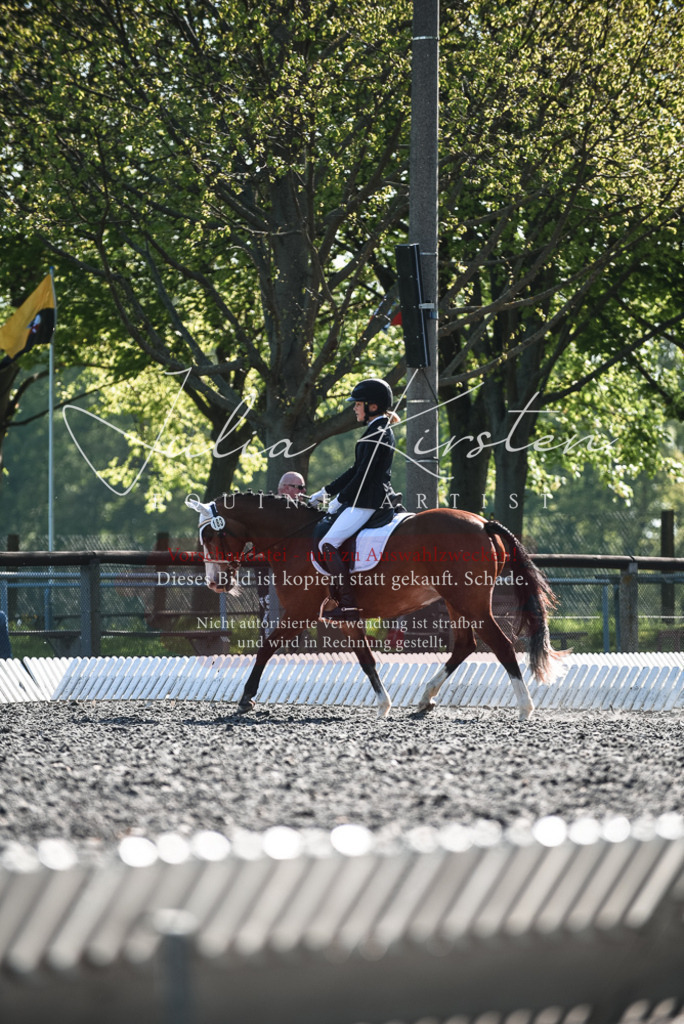 DSC_8697 | Pferde- und Turnierfotografie in Westsachsen. Pferdeportraits, Auftragszeichnungen und intuitive Kunst.