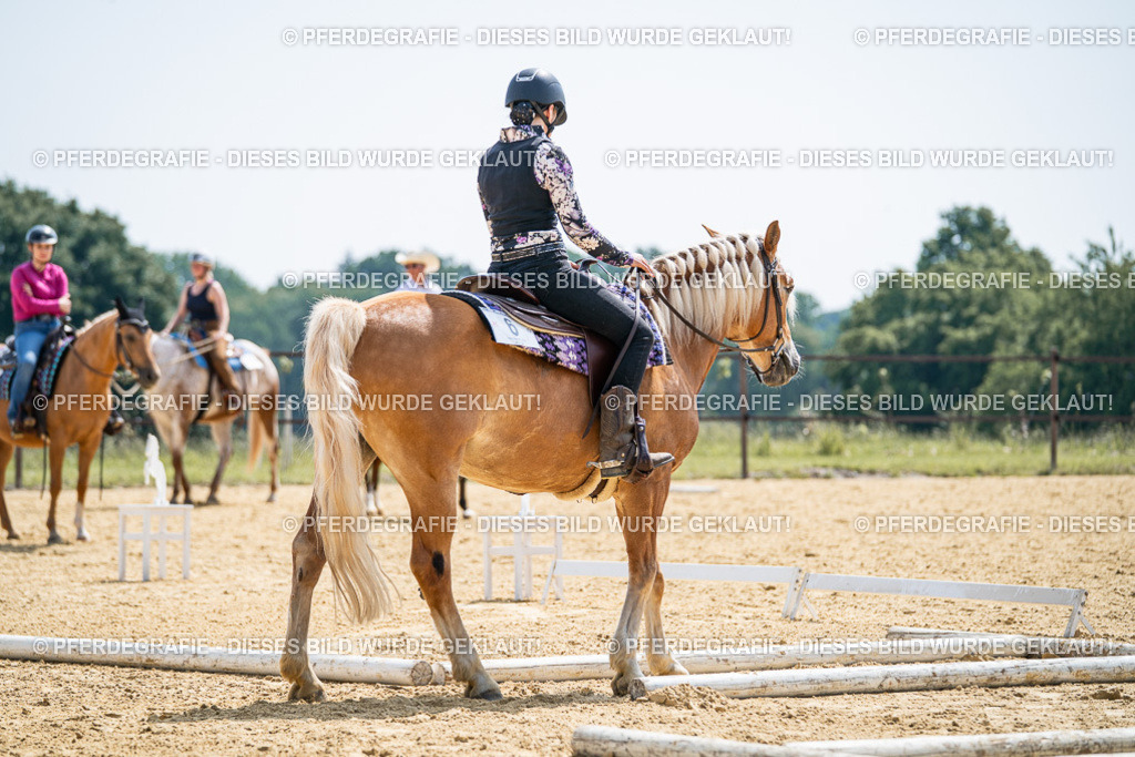 DSC00191 | Pferdegrafie