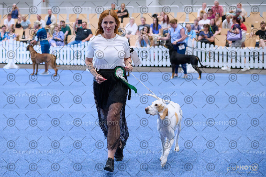 202406_ÖKV-IHA-Tulln24_DSC_4055 | proPHOTO - Realisiert mit Pictrs.com