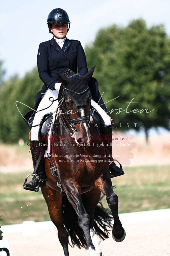 DSC_3379 | Pferde- und Turnierfotografie in Westsachsen. Pferdeportraits, Auftragszeichnungen und intuitive Kunst.