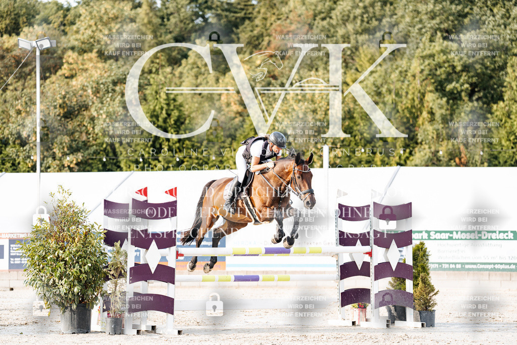 CK903420 | Turnierfotografie Pferdefotografie Trier Rheinland-Pfalz Pferdesport Reitsport Tierfotografie Sportfotografie Pferdevideo Pferdevideografie Equestrianvideography equestrianphotography  - Realisiert mit Pictrs.com