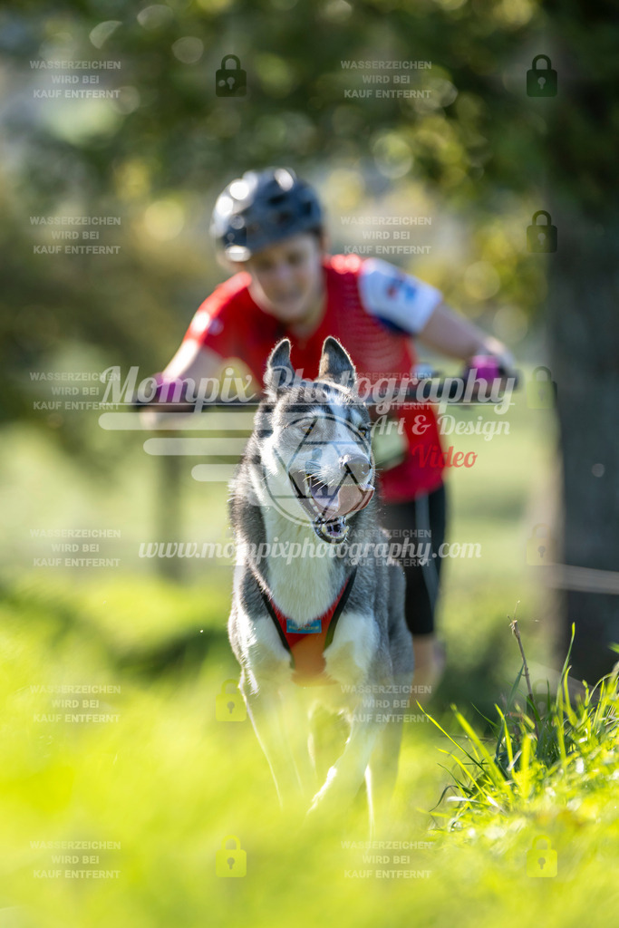 MompixPhotography_20TSB_E3_DS1-44 | PayLife