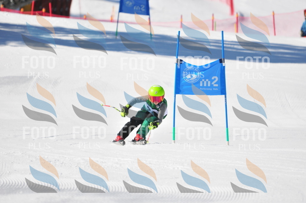 C3085 | holidayphoto