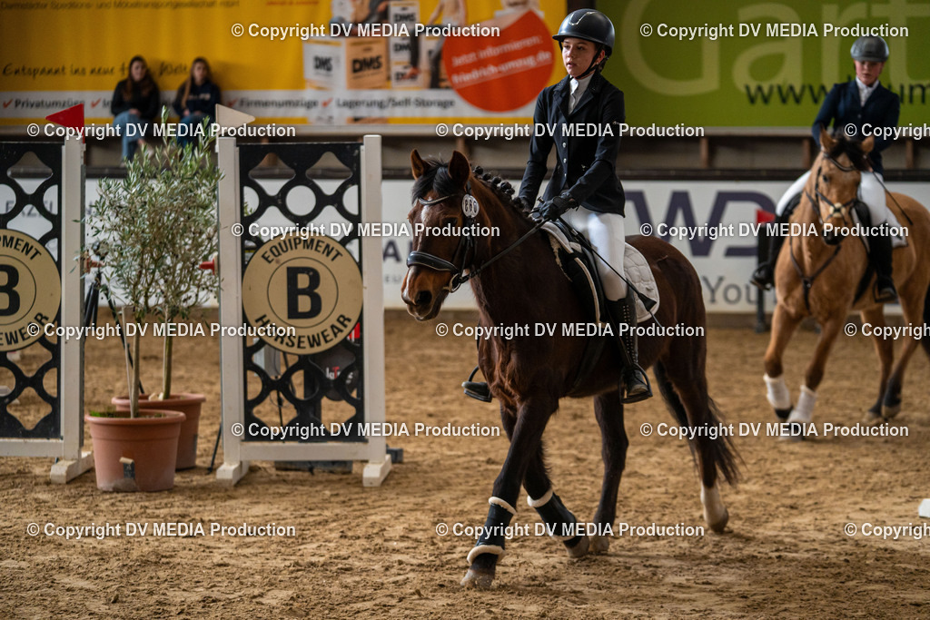 Kranichstein Tag 2-812 | dv-media-shop - Realisiert mit Pictrs.com