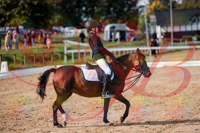 2026_10_03_Siefer-Hof_122020_Z63_42826538 | Professionelle Reitsport-, Turnier- und Eventfotografie von Robert Broda. Galerien mit ausgewählten und bearbeiteten Bildern direkt online ansehen und bestellen.