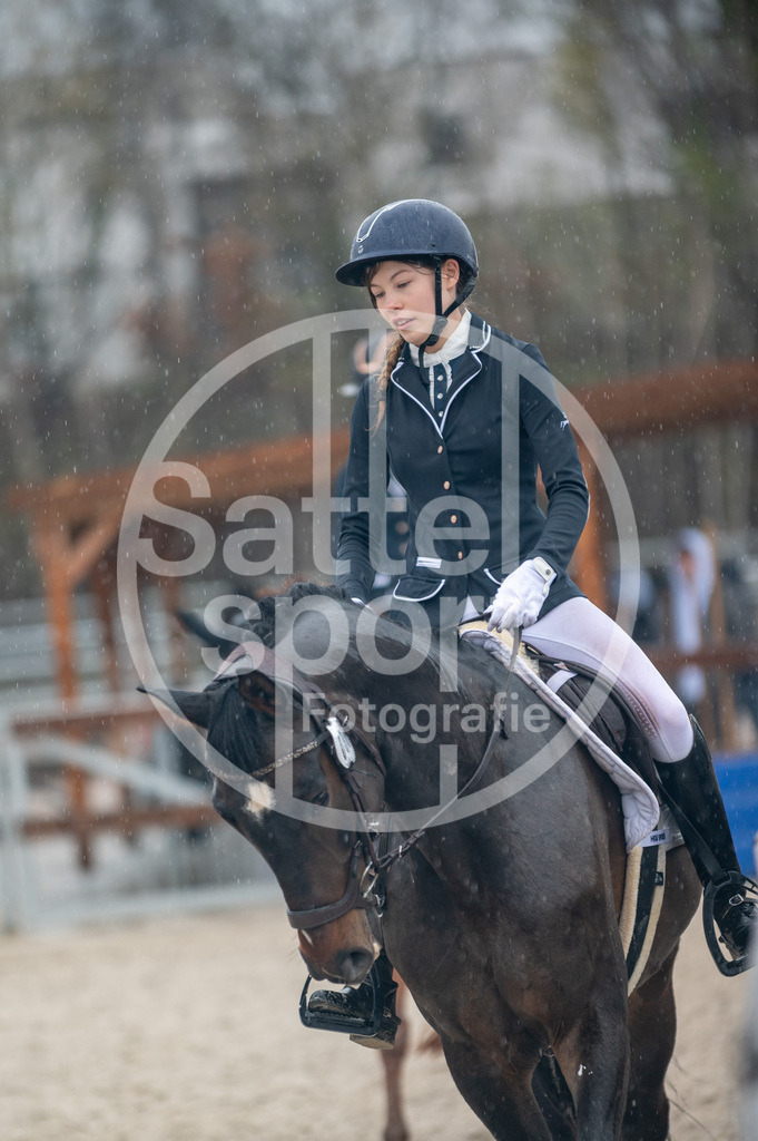 DSC_7375 | sattelsport - Realisiert mit Pictrs.com