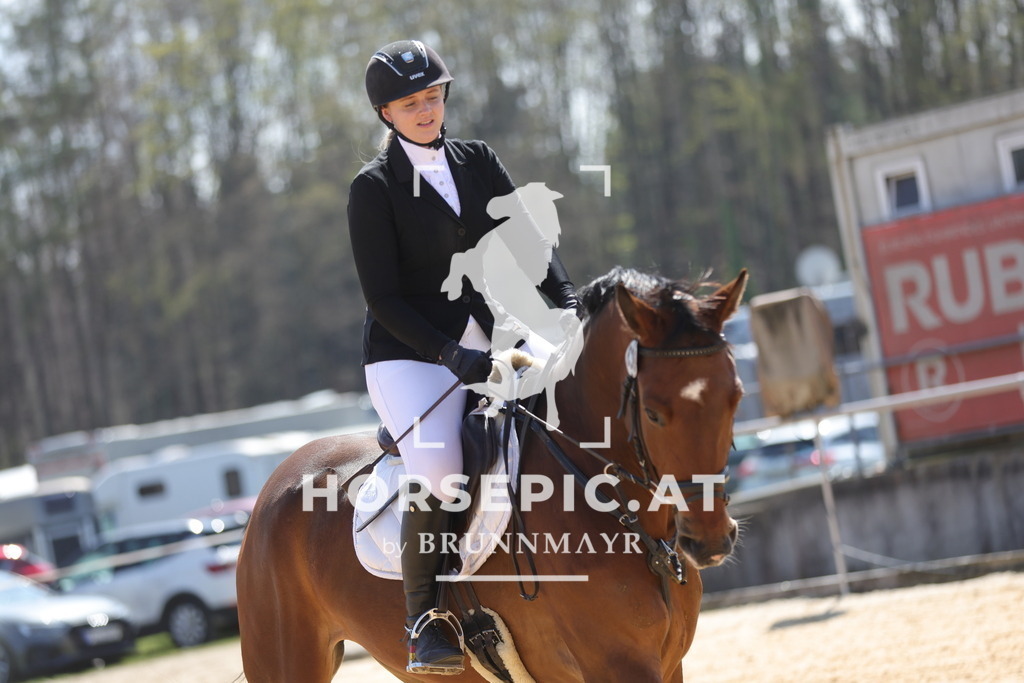 0P6A0409 | Willkommen bei Brunnmayr - Design & Fotografie – Ihrem Spezialisten für Reitturniere und Pferdeveranstaltungen in Oberösterreich, Salzburg und Bayern! Seit über 17 Jahren sind wir leidenschaftlich dabei.