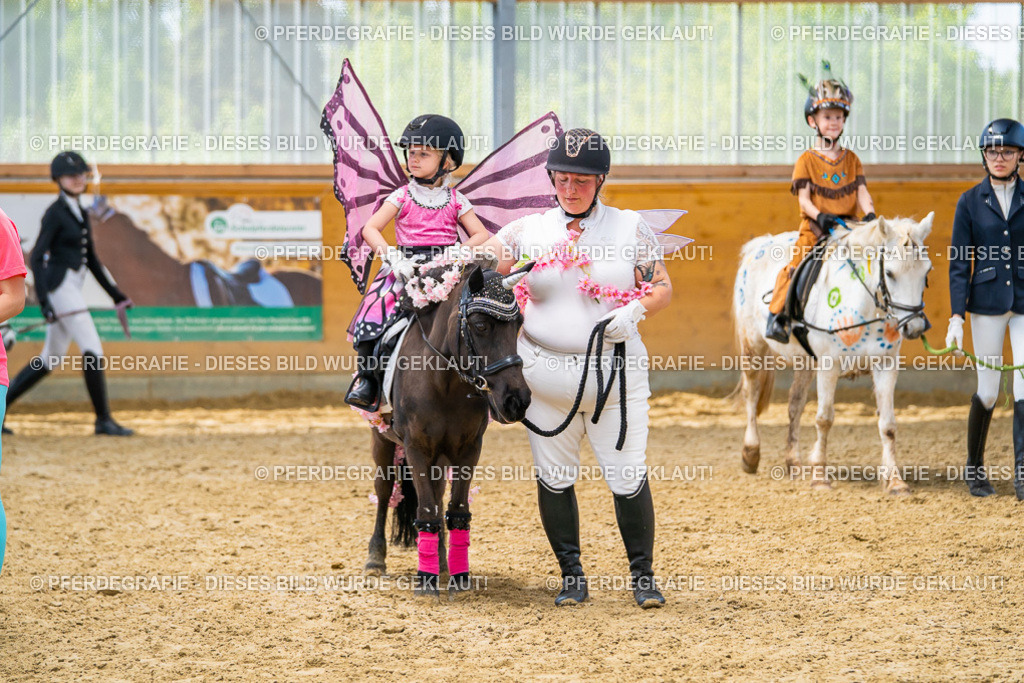 DSC00201 | Pferdegrafie