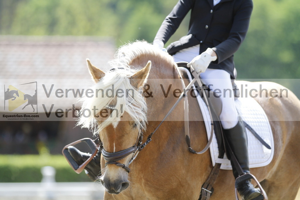 _MG_0266 | equestrian-live-com