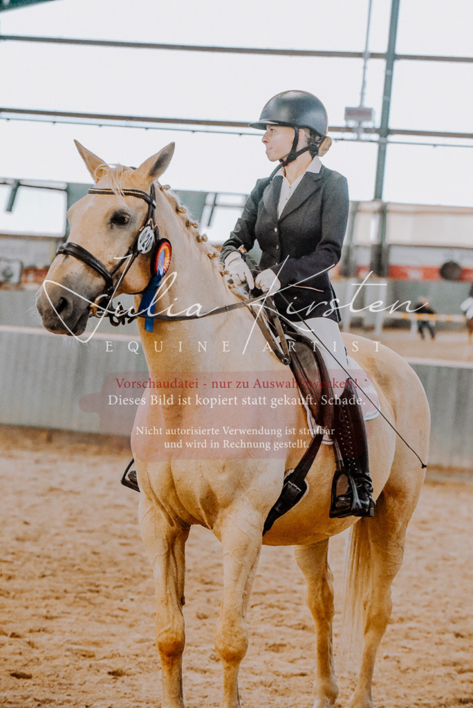 DSC_7737 | Pferde- und Turnierfotografie in Westsachsen. Pferdeportraits, Auftragszeichnungen und intuitive Kunst.