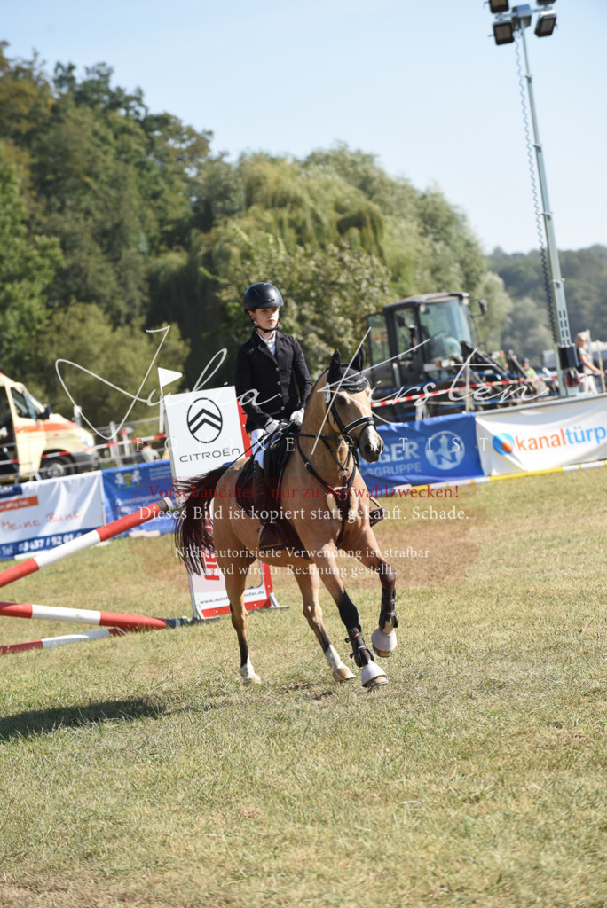 DSC_6071 | Pferde- und Turnierfotografie in Westsachsen. Pferdeportraits, Auftragszeichnungen und intuitive Kunst.
