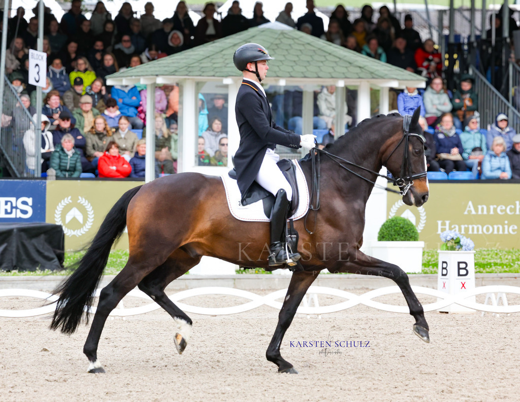 1B3A8189 | Reitsport Reiten