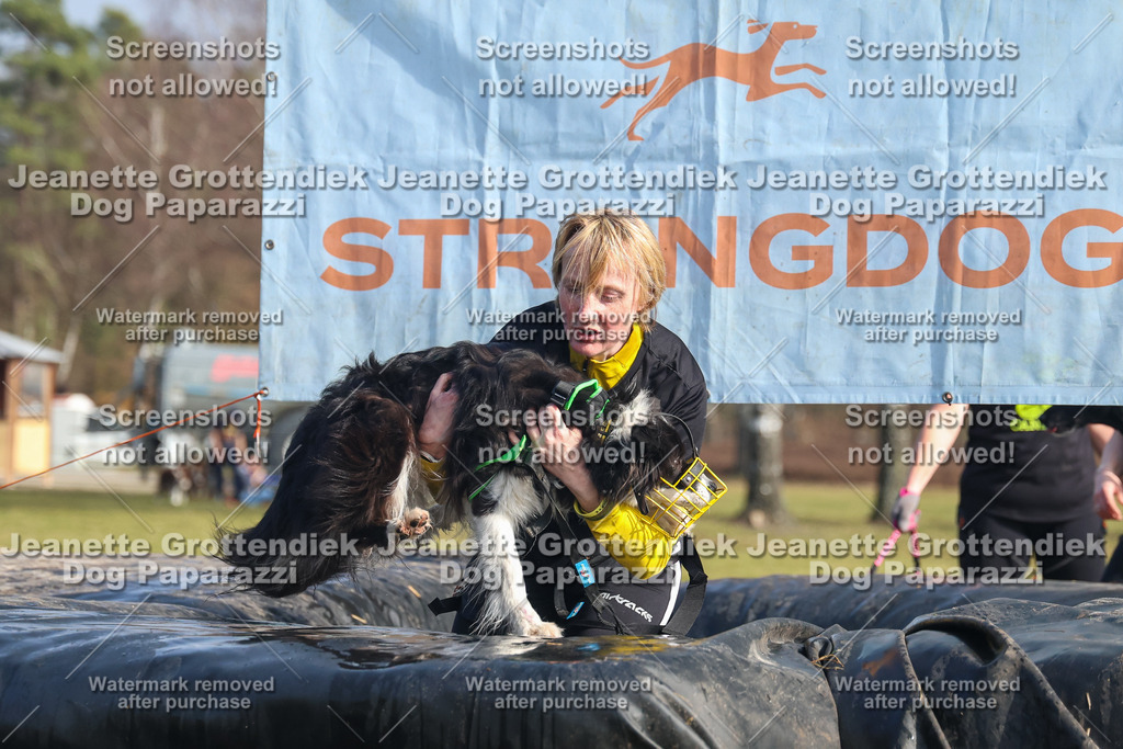 Dog Paparazzi - Strongdog North Mrz26-2414 | Dog Paparazzi Jeanette Grottendiek Fotografie & Videografie - Realisiert mit Pictrs.com