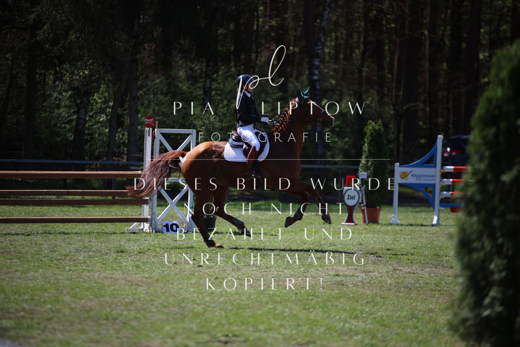 IMGT1044 | pl-fotografie