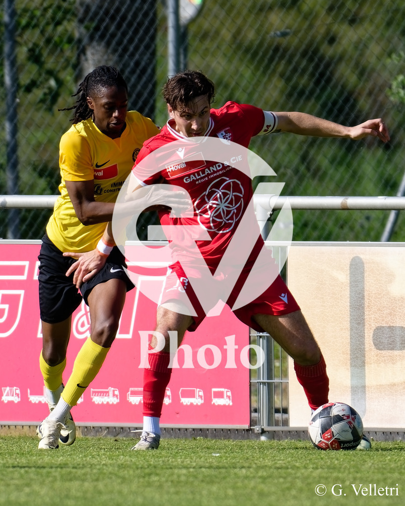 DSC_0426 | Velletri Photo