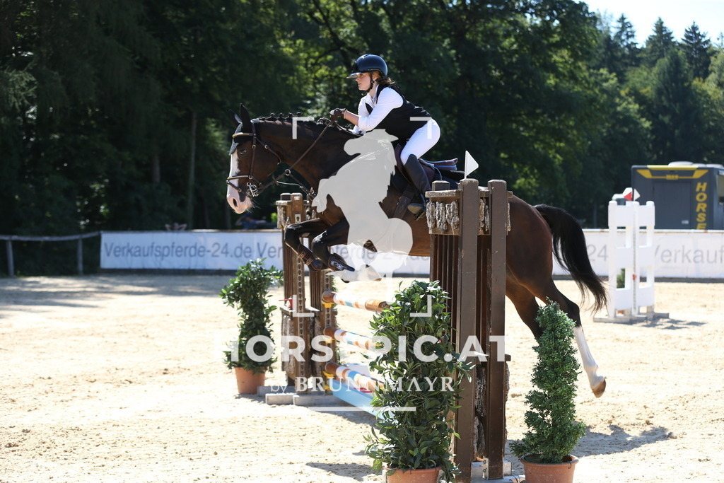 DL2Q9771 | Willkommen bei Brunnmayr - Design & Fotografie – Ihrem Spezialisten für Reitturniere und Pferdeveranstaltungen in Oberösterreich, Salzburg und Bayern! Seit über 17 Jahren sind wir leidenschaftlich dabei.