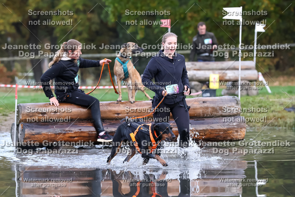 Dog Paparazzi - Strongdog 10-25-6572 | Dog Paparazzi Jeanette Grottendiek Fotografie & Videografie - Realisiert mit Pictrs.com