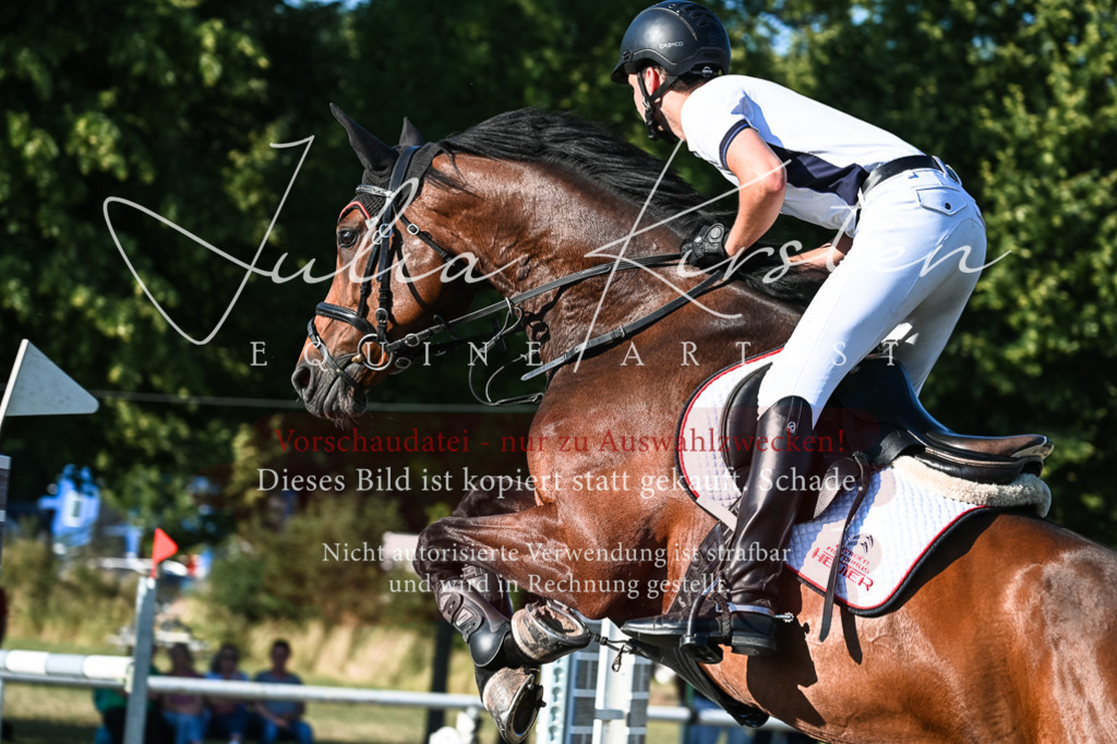 DSC_3069 | Pferde- und Turnierfotografie in Westsachsen. Pferdeportraits, Auftragszeichnungen und intuitive Kunst.